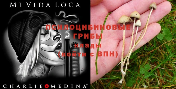 ECSTASY Мегион
