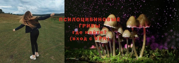 ECSTASY Мегион