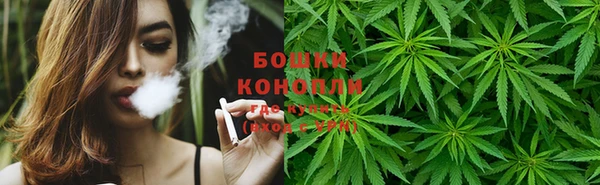 PSILOCYBIN Медногорск
