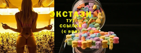 ECSTASY Мегион